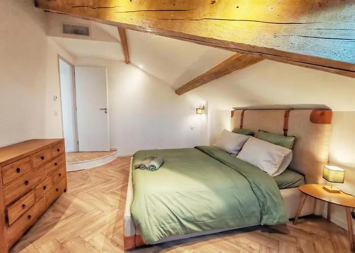 Le Quai Nimois Climatise Au Pied De La Gare * נים